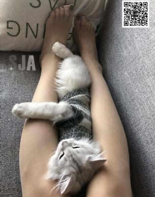 罪梦者电视剧全集完整版在线观看