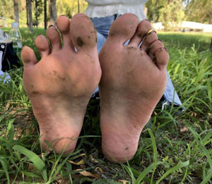 爱情公寓5