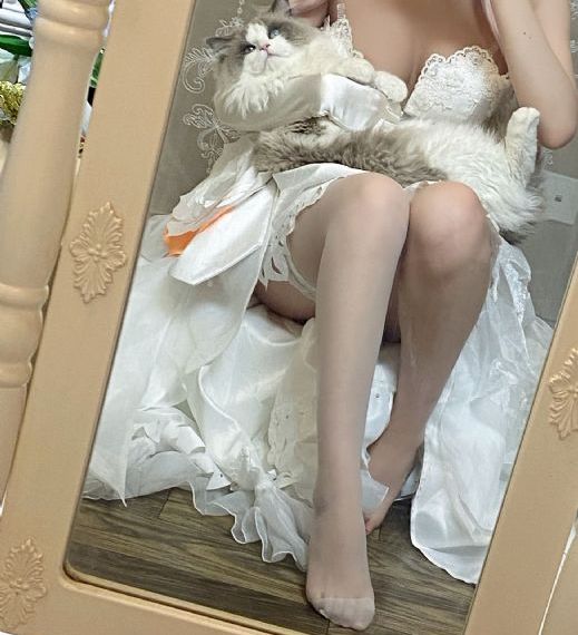噼里啪啦在线看