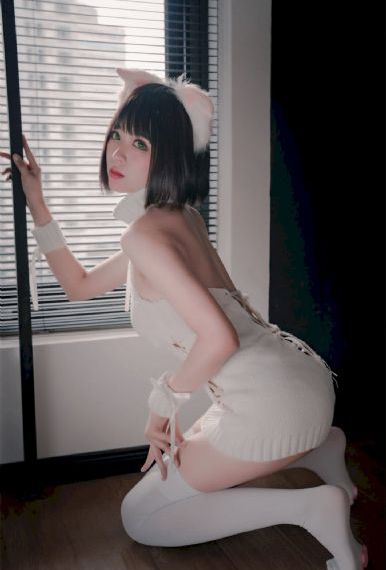 美女高清在线观看视频