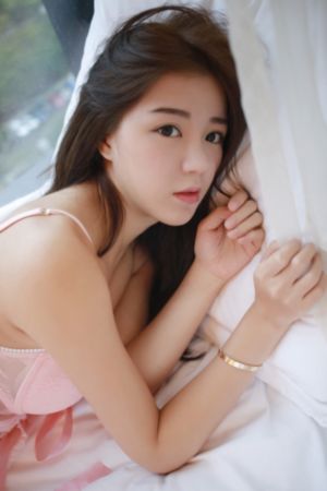 流星网