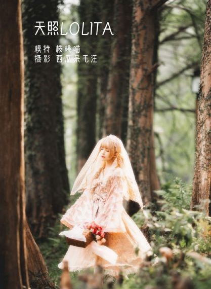与鸭共舞