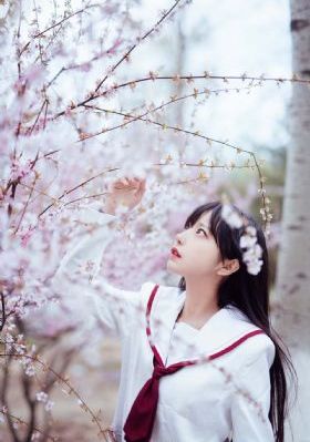 激战后厨3集